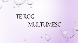 bunele maniere multumesc