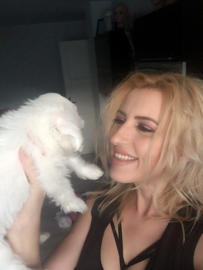 animal de companie luna